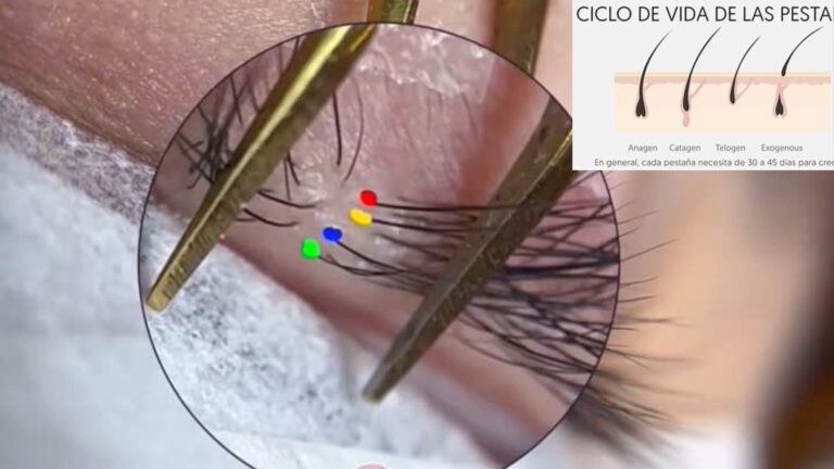 🌱 Ciclo de Vida de las Pestañas y su Importancia en la PestañologíaMás allá del obstáculo