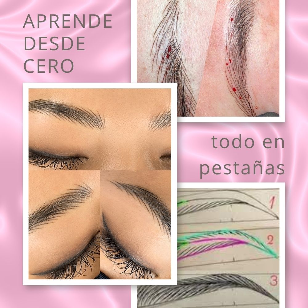 Manual sagrado de microblading - Imagen 3