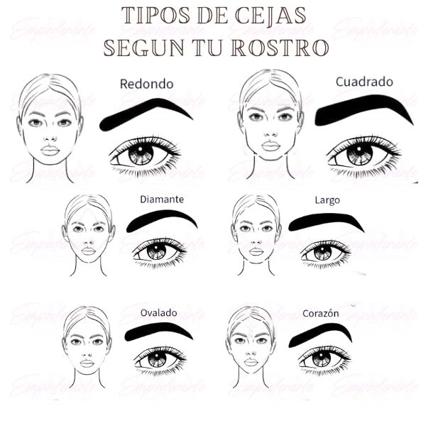 Manual para Diseño de Cejas Perfectas - Imagen 3